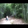 (Chinese Garden)