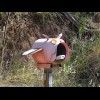 I don't know what kind of animal this mailbox is meant to be.
