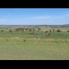These are the Darling Downs, the start of Queensland's "Golden West", the fertile land bey...