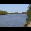 One braid of the Hunter's estuary.