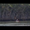 Somebody fishing in a canoe.