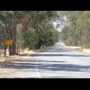 Both yellow signs say "WATER OVER ROAD". Strangely, they're right. In the middle of the ro...