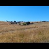 It's strange how such green trees exist in such a parched landscape.