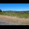 Young trees growing on the opposite side of the valley.