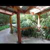 The view from one of the toilets in the botanic gardens. This building is set among the bamboo and h...