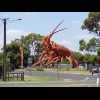 The Big Lobster.