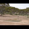 The 8th hole, "Brumby's Run", an even simpler 125 metre par 3. The longest hole on the cou...