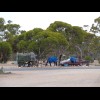 Somebody is trying to go right round Australia with this cart and horses, although I think the car b...
