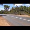 "ROO CROSSING". I'm not sure whether the roos know about it.