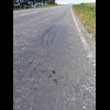 The road surface here is melting. The track on the left was made by a tractor's trailer which just c...