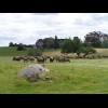 Tarndwarncoort advertises a self-guided tour to "see how a working sheep farm operates". I...