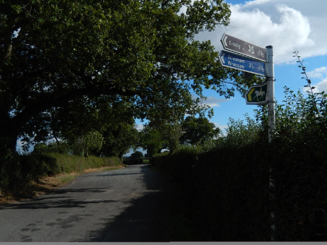 Helpful signs on the way into Wrexham, although I didn't follow all of them.