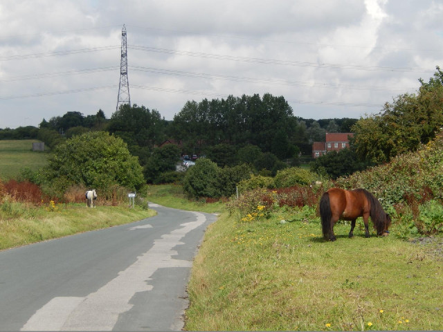 This stretch of road has several horses grazing by it.