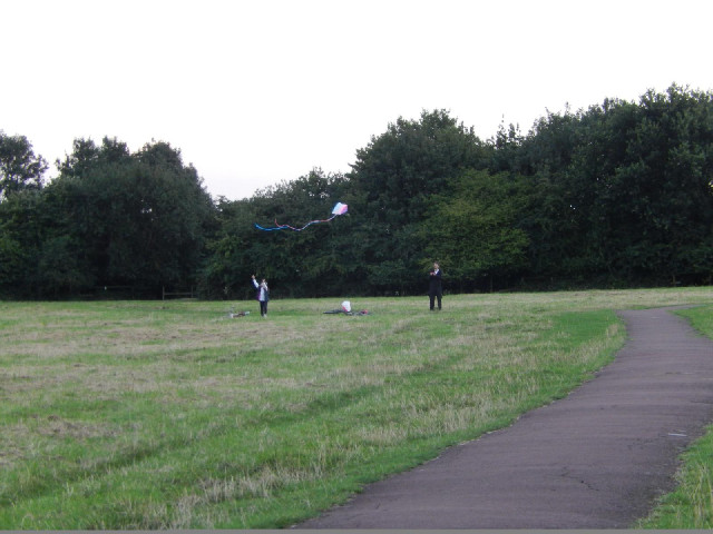 People flying a kite in a park.