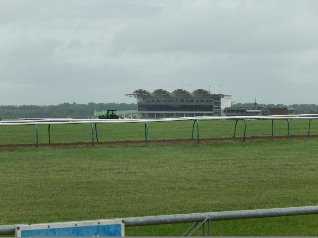 Newmarket racecourse.