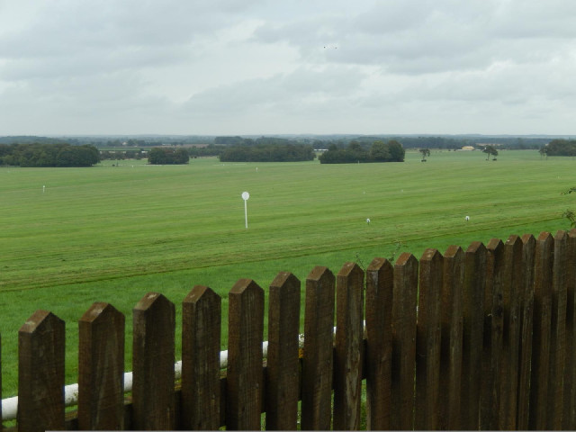 It looks like this entire grass area, as well as quite a lot of the rest of the landscape around her...