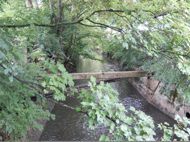 This isn't quite one of London's lost rivers but it's well hidden.