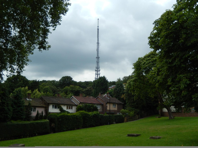 The Crystal Palace transmitter mast.