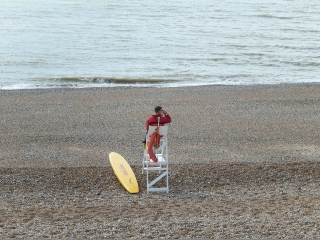 A lifeguard.