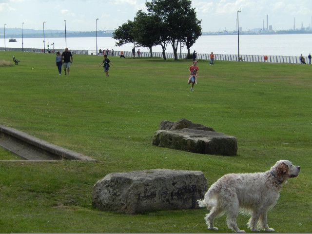 From here, I can use the esplanade along the bank of the Mersey to reach the city centre.