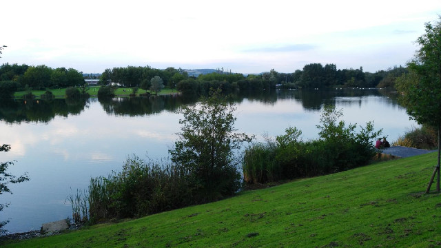 A lake in Swansea.