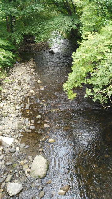 The River Cynon.