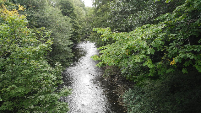 The River Taff. Near here is a notice board saying that this was the site of the first steam railway...