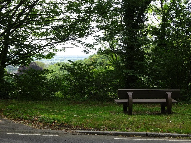 That bench probably had a better view once.