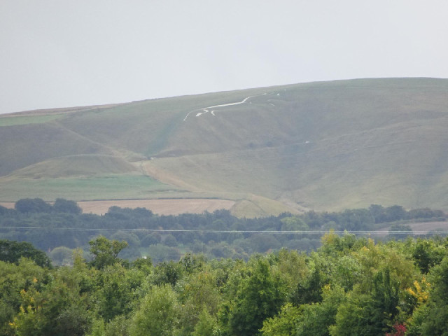 The Uffington White Horse, carved into the chalk hillside some time in the first millennium BC.
