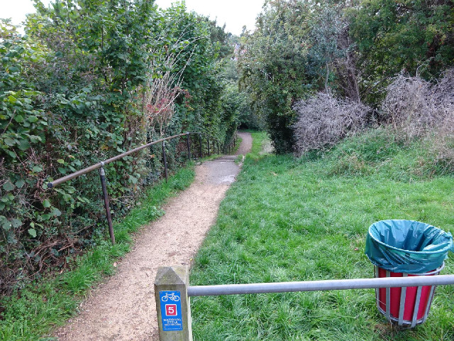 This is marked as a cycle route but it goes down a flight of steps.