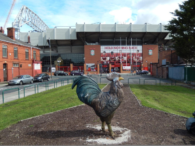 Why is there a chicken here? I thought that was the emblem of Tottenham Hotspur.