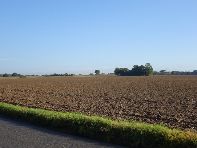 A bare field. I wasn't sure whether to take this picture because it does make this region look flatt...