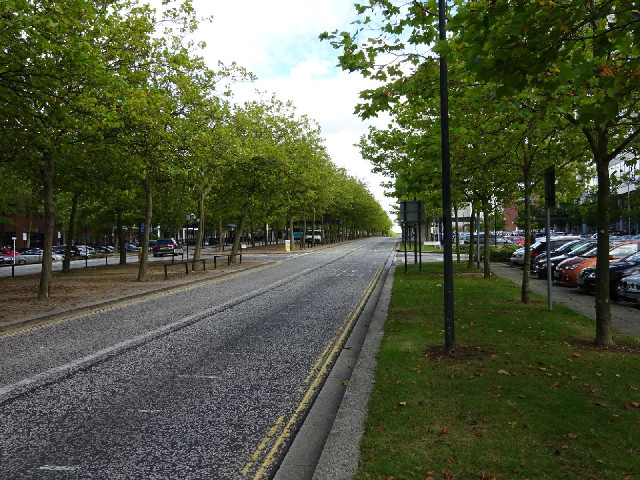 The town of Milton Keynes is based on a grid system. In the suburbs, the roads of the grid are relax...