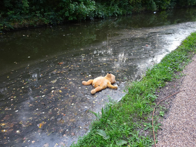A teddy slowly floating down the canal.