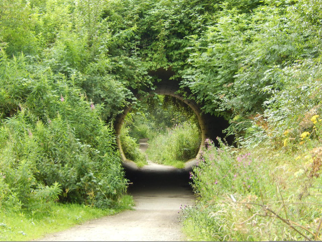 A little tunnel.