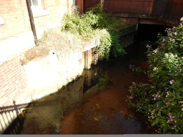 A stream in Kidderminster.