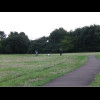 People flying a kite in a park.