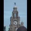 The Royal Liver building.