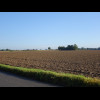 A bare field. I wasn't sure whether to take this picture because it does make this region look flatt...