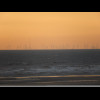 An offshore wind farm.