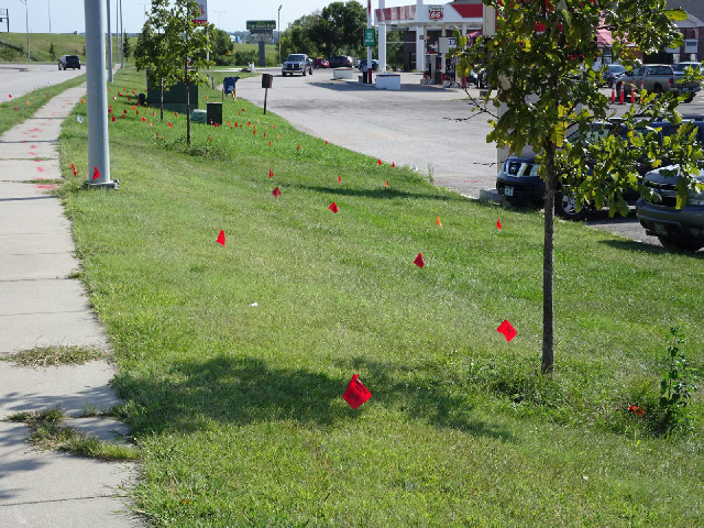 These little flags all warn of buried cables.