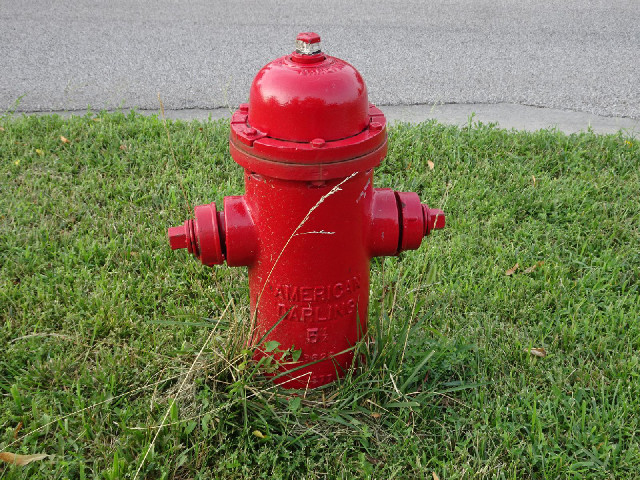 I never knew this type of fire hydrant was called an American Darling.