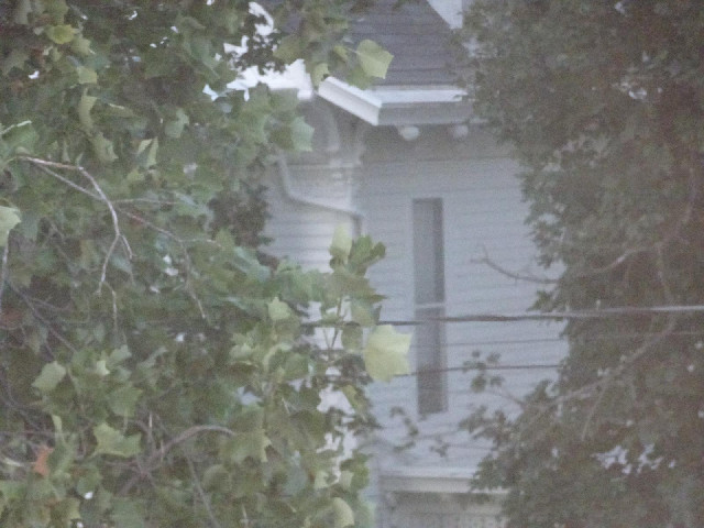 I can see part of the Truman house from my window.