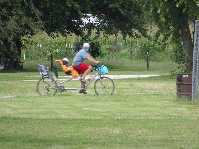 A tandem which has been adapted to carry two babies and an umbrella.
