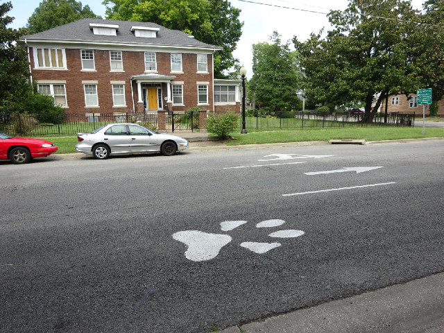 The road through Carbondale has giant paw prints painted on it. I don't know what they mean.