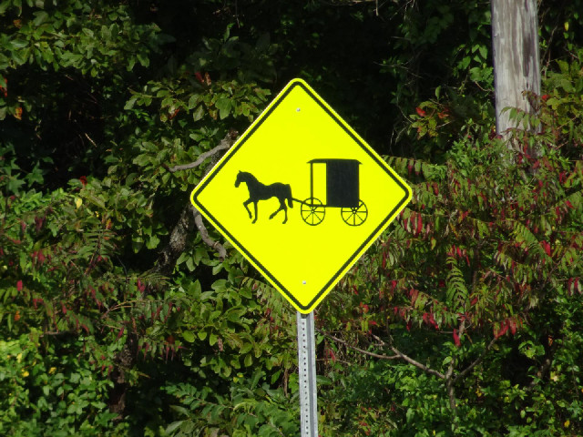 I saw a few of these signs today, even on the main road, but never saw anything being pulled by a ho...