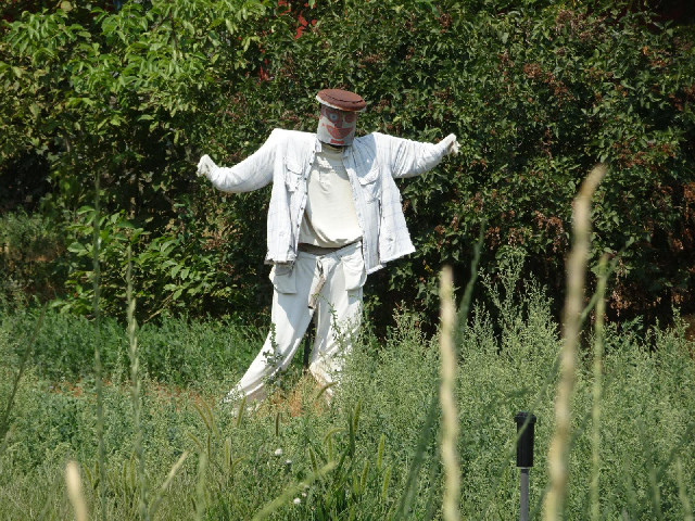A scarecrow.
