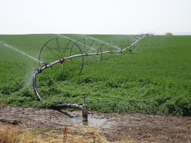 I always thought that these irrigators on wheels were meant to trundle across the field but this one...