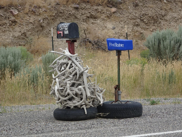 A mailbox with antlers.