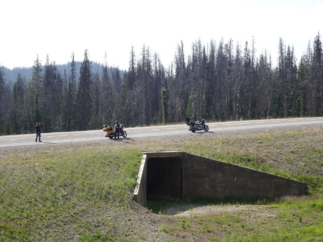 Two motorcyclists.